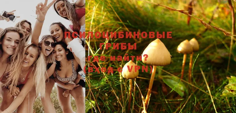 Псилоцибиновые грибы Magic Shrooms  Райчихинск 